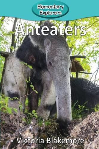 Cover image for Anteaters