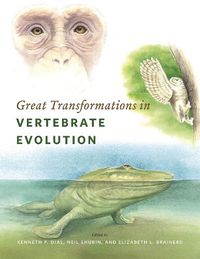 Cover image for Great Transformations in Vertebrate Evolution