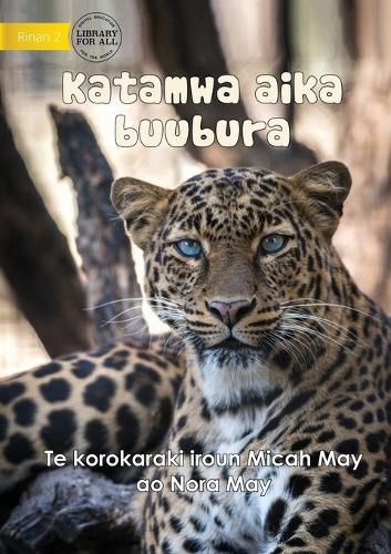 Cover image for Big Cats - Katamwa aika buubura (Te Kiribati)