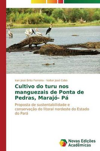 Cover image for Cultivo do turu nos manguezais de Ponta de Pedras, Marajo- Pa