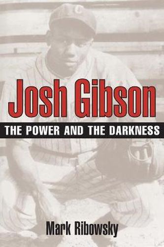 Cover image for Josh Gibson: The Power and the Darkness