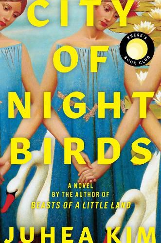 Cover image for City of Night Birds