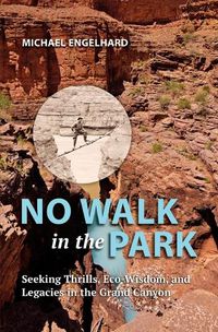 Cover image for No Walk in the Park