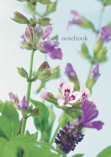 Cover image for Notebook: Scented Geranium