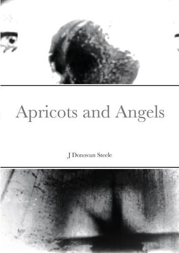 Cover image for Apricots and Angels