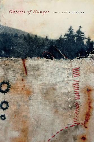 Cover image for Objects of Hunger