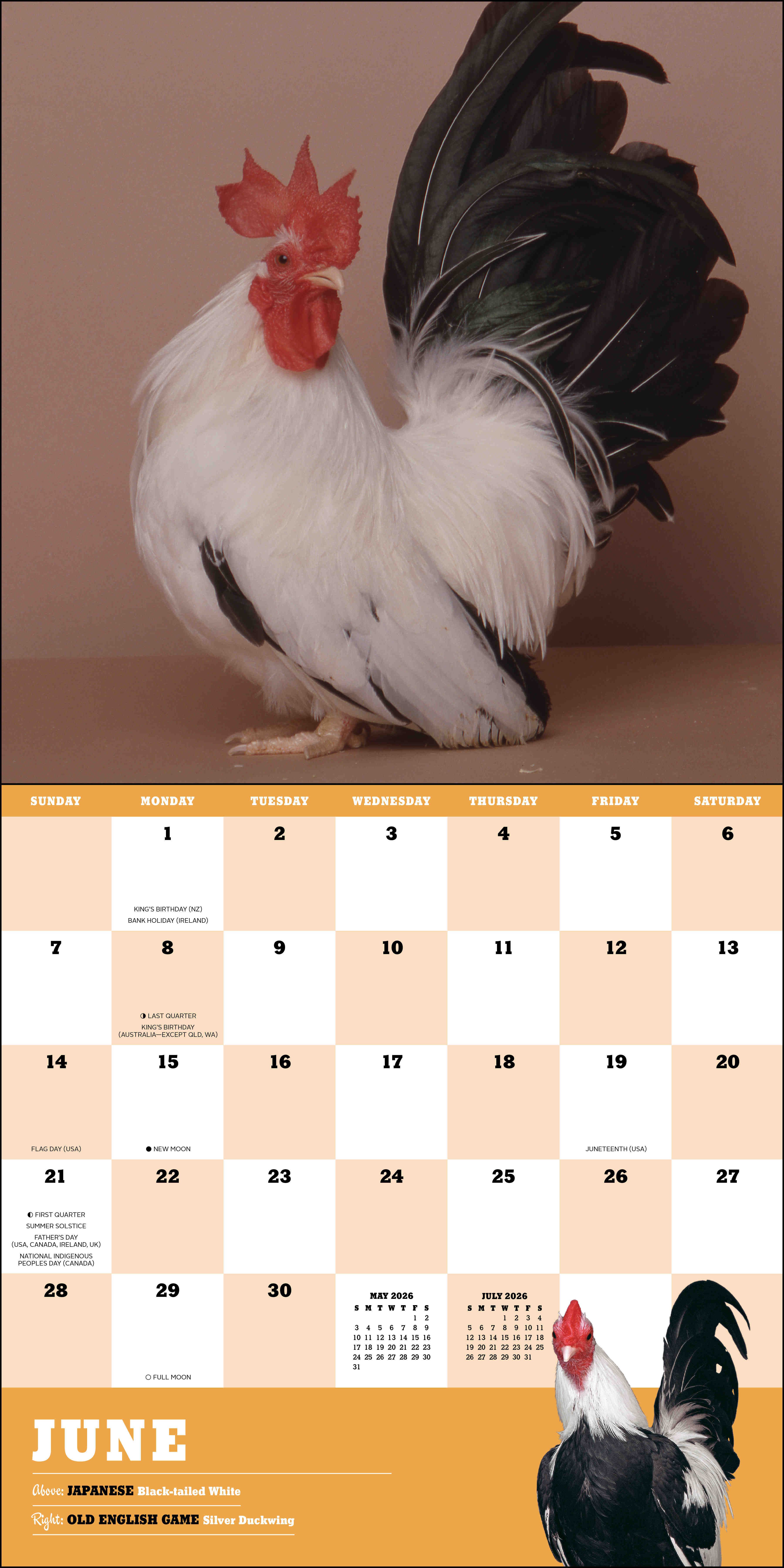 Extraordinary Chickens 2026 Wall Calendar