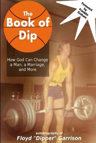 Cover image for The Book of Dip