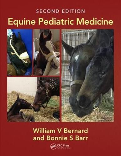 Cover image for Equine Pediatric Medicine