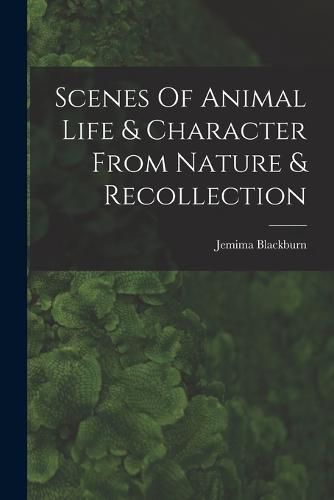 Cover image for Scenes Of Animal Life & Character From Nature & Recollection