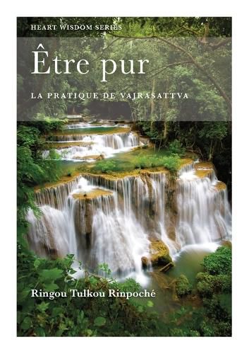 Cover image for Etre pur