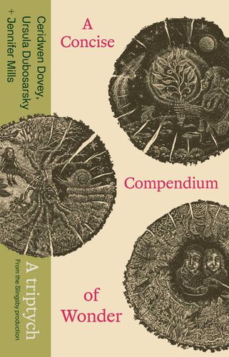 Cover image for A Concise Compendium of Wonder