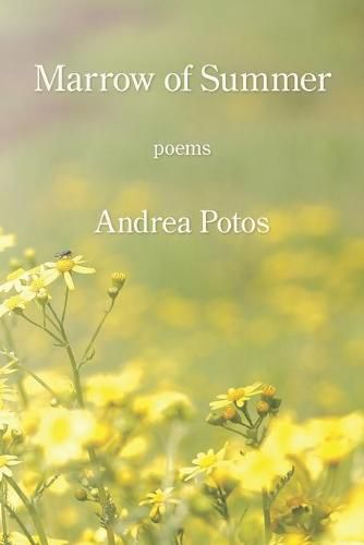 Cover image for Marrow of Summer