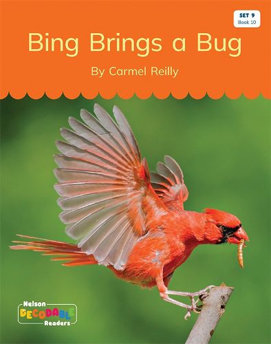 Bing Brings a Bug (Set 9, Book 10)