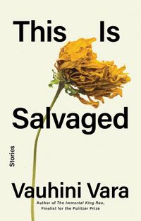 Cover image for This Is Salvaged