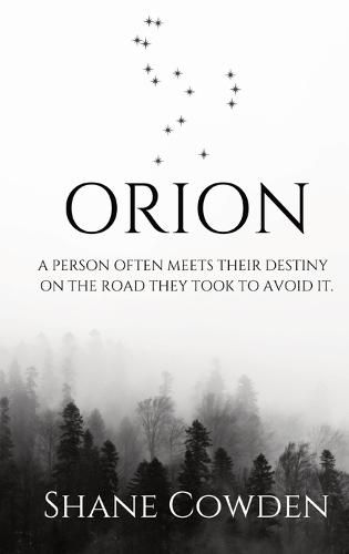 Cover image for Orion