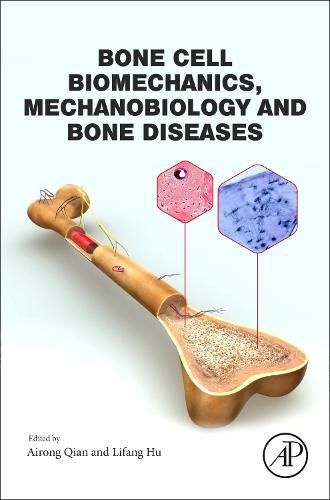 Cover image for Bone Cell Biomechanics, Mechanobiology and Bone Diseases