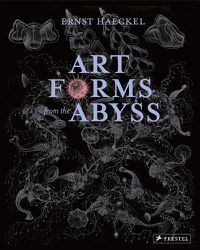 Cover image for Art Forms from the Abyss: Ernst Haeckel's Images From The HMS Challenger Expedition