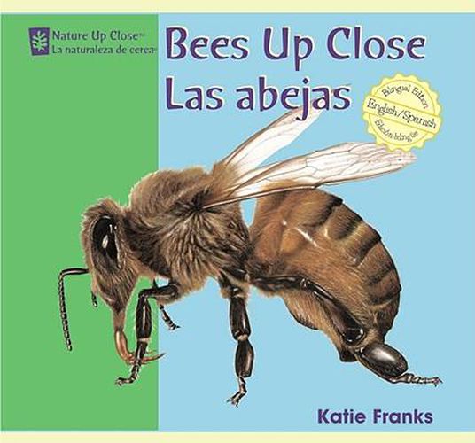 Bees Up Close / Las Abejas