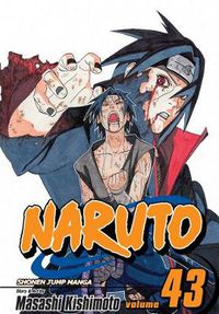 Cover image for Naruto, Vol. 43
