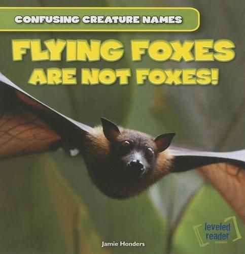 Cover image for Flying Foxes Are Not Foxes!