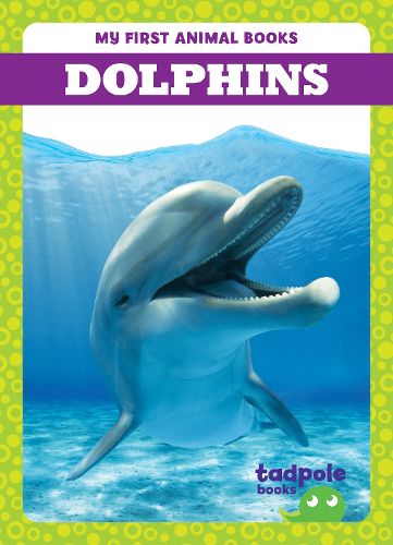 Cover image for Dolphins