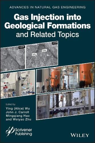 Cover image for Gas Injection into Geological Formations and Related Topics