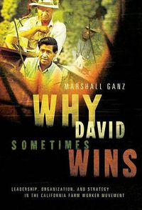 Cover image for Why David Sometimes Wins: Leadership, Organization, and Strategy in the California Farm Worker Movement
