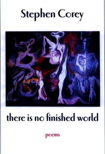 Cover image for There is No Finished World