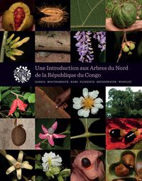 Cover image for Une Introduction Aux Arbres Du Nord de la Republique du Congo