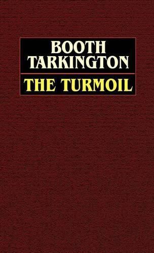 Cover image for The Turmoil