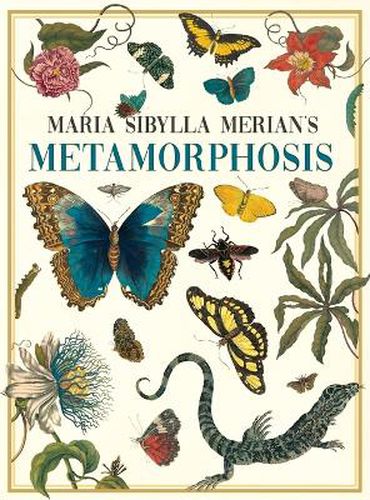 Cover image for Maria Sibylla Merian's Metamorphosis