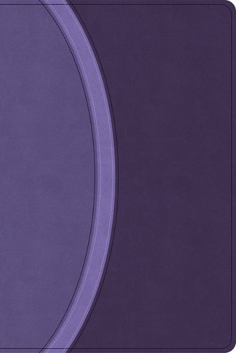 Cover image for CSB Rainbow Study Bible, Purple Leathertouch (Limited Edition)