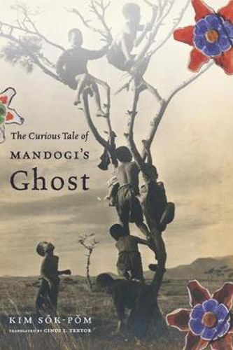 Cover image for The Curious Tale of Mandogi's Ghost