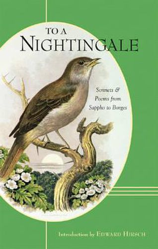 Cover image for To a Nightingale