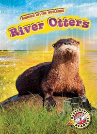 Cover image for River Otters