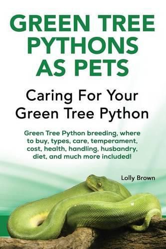 Green Tree Pythons as Pets: Green Tree Python breeding, where to buy, types, care, temperament, cost, health, handling, husbandry, diet, and much more included! Caring For Your Green Tree Python