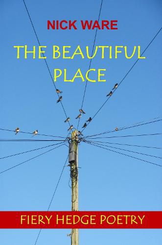 Cover image for The Beautiful Place