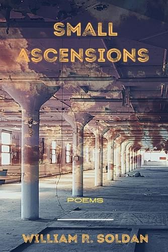 Cover image for Small Ascensions