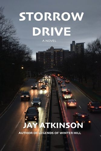 Cover image for Storrow Drive