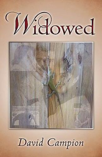 Cover image for Widowed