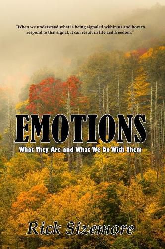 Emotions: What Are They and What Do We Do With Them