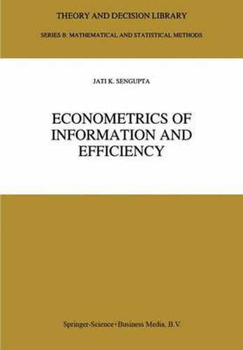 Cover image for Econometrics of Information and Efficiency