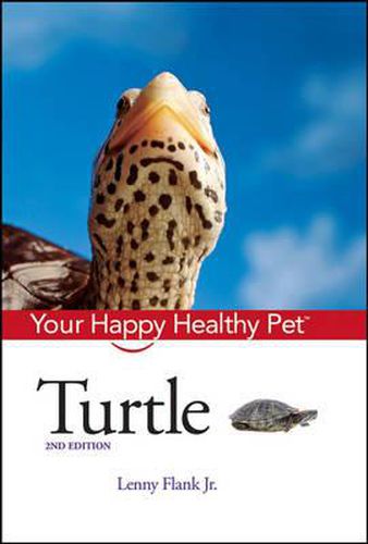 Cover image for Turtle