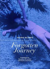 Cover image for Forgotten Journey