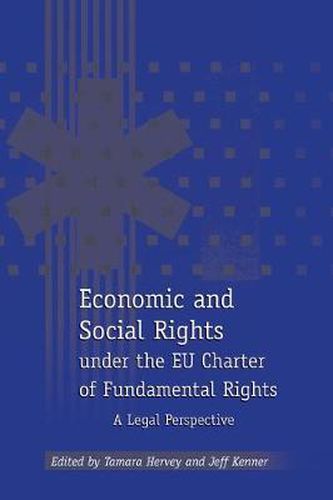 Cover image for Economic and Social Rights under the EU Charter of Fundamental Rights: A Legal Perspective