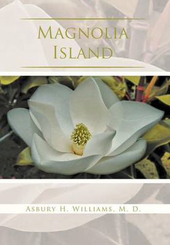 Cover image for Magnolia Island