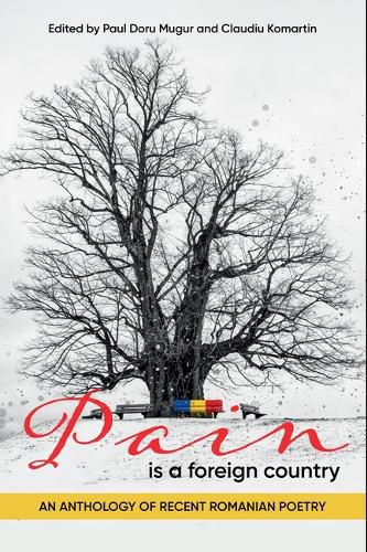 Cover image for Pain Is a Foreign Country