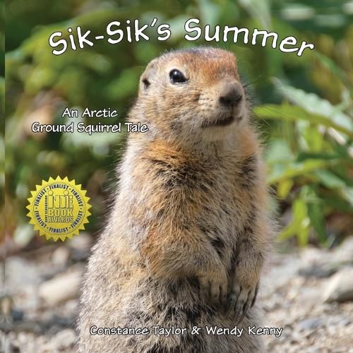 Cover image for Sik-Sik's Summer