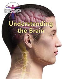 Cover image for Understanding the Brain